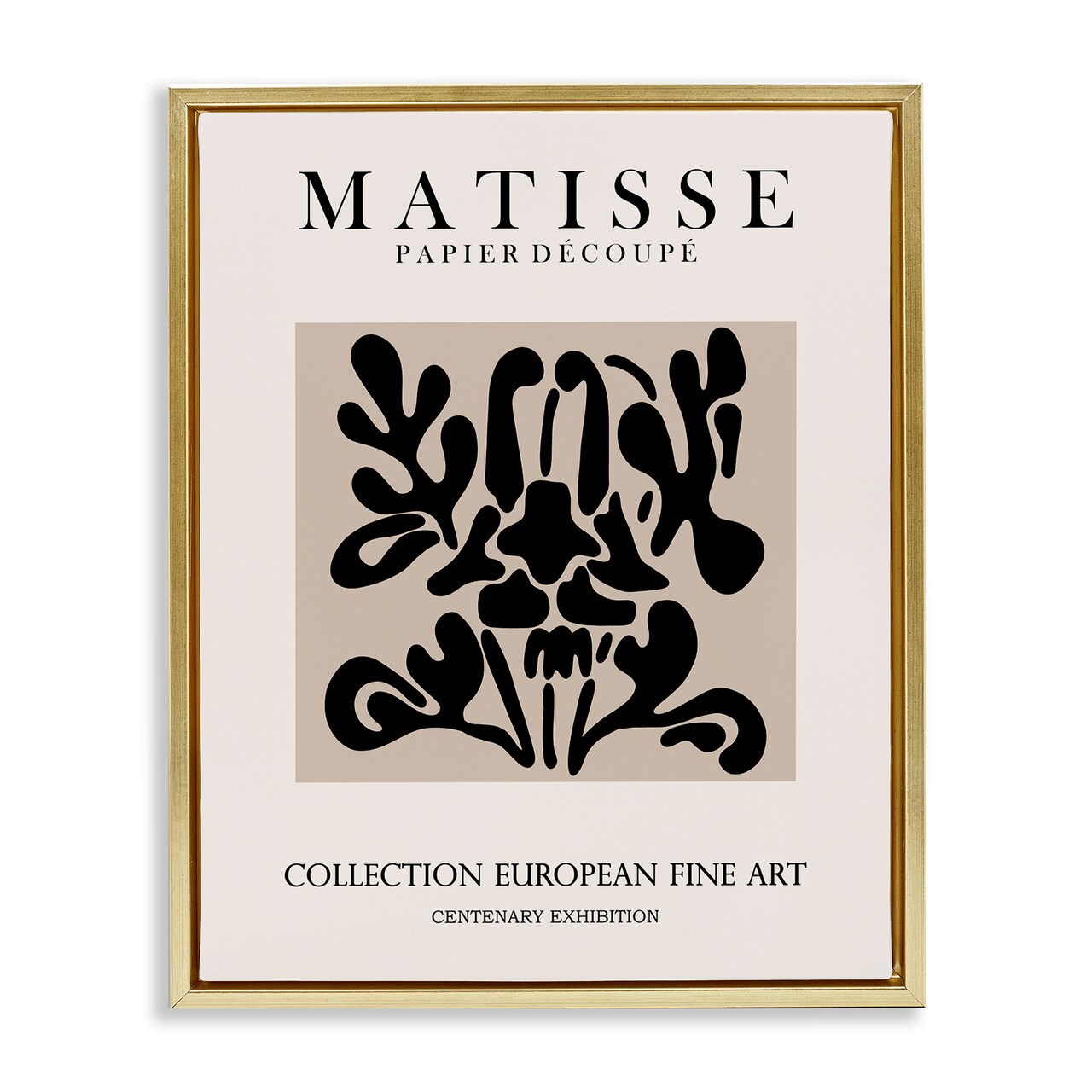 Stupell Industries Abstract Contemporary Black Floral Design Matisse Typography Floating Frame Design By Ros Ruseva